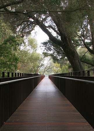 King's Park, Perth