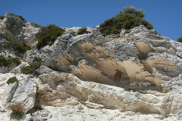 Rottnest Island