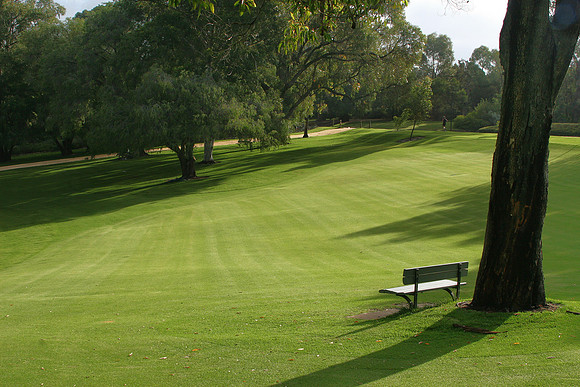 King's Park, Perth