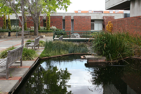 Curtin University