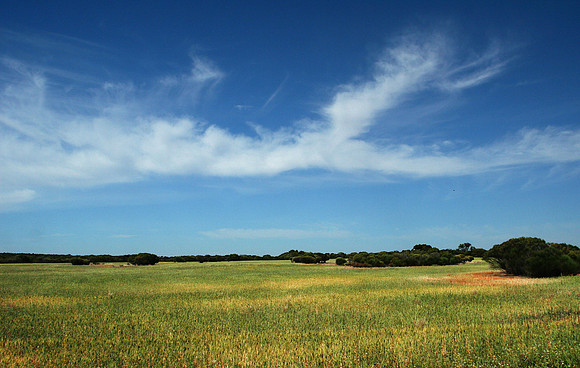 Wheatbelt, Beacon