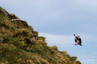 JM7_3705