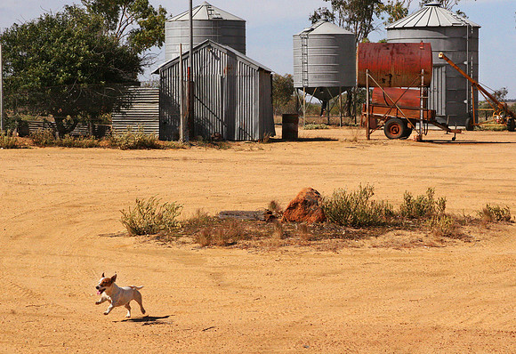 Farmyard, Beacon