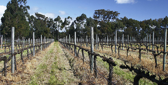 Margaret River