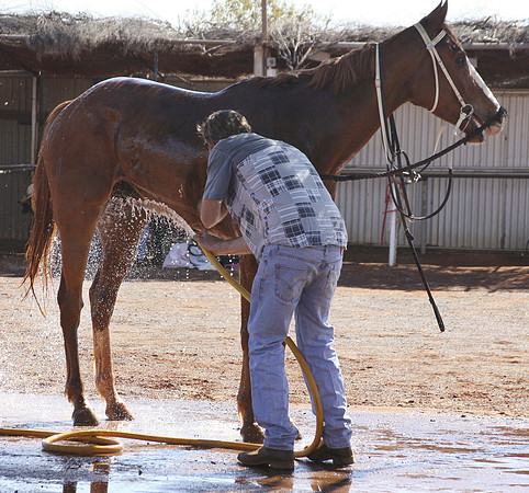 Laverton Horse Races