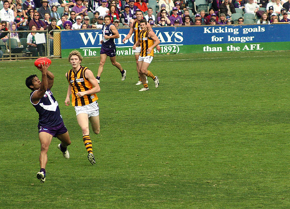 AFL: Hawks vs Dockers