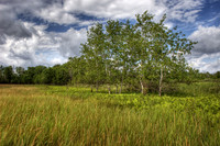 IMG_22182_HDR