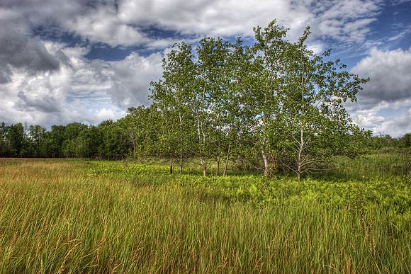 IMG_22182_HDR