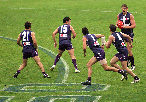 AFL: Hawks vs Dockers
