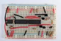 CameraTrap