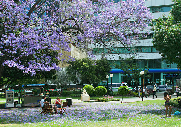 Stirling Gardens, Perth